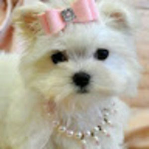 Meet your Posher, Ana ruth